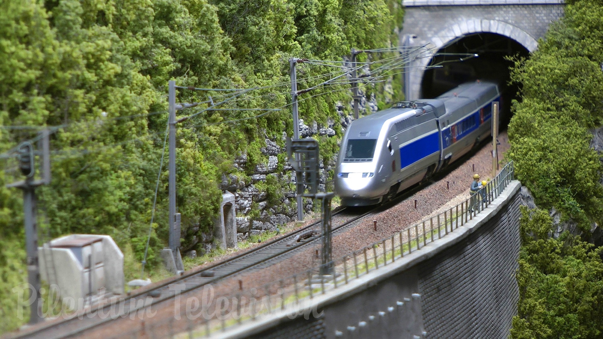 Il plastico estremamente realistico con trenini dalla Francia in scala HO