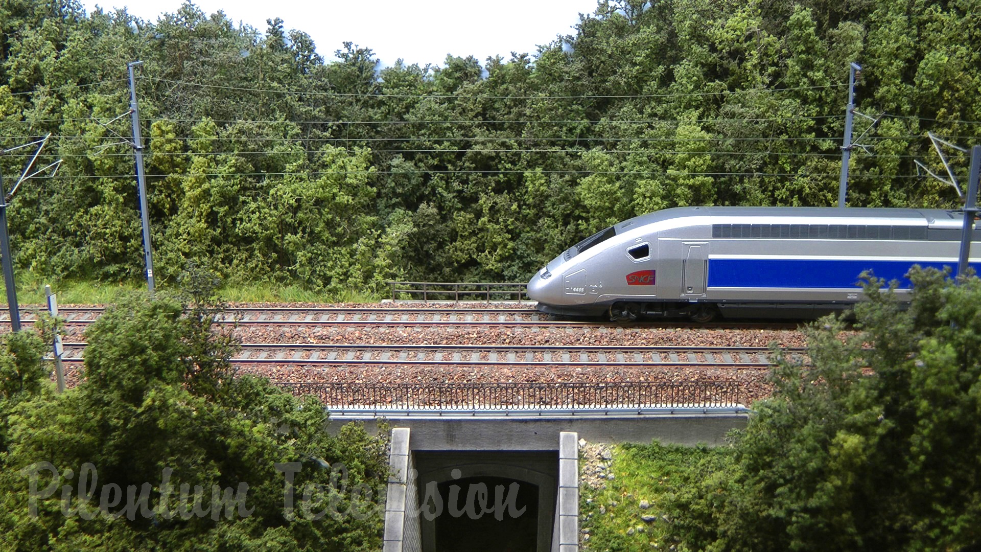 Il plastico estremamente realistico con trenini dalla Francia in scala HO